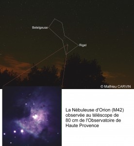 nebuleuse orion