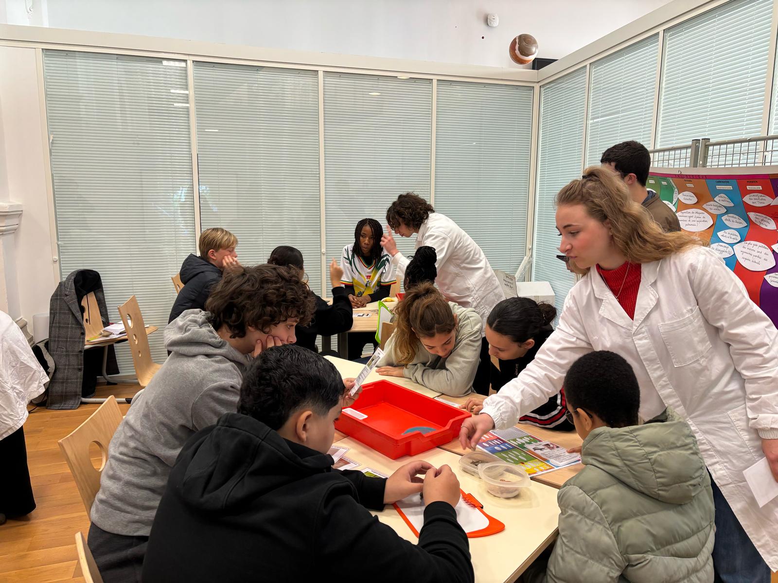 Animation au collège longchamp